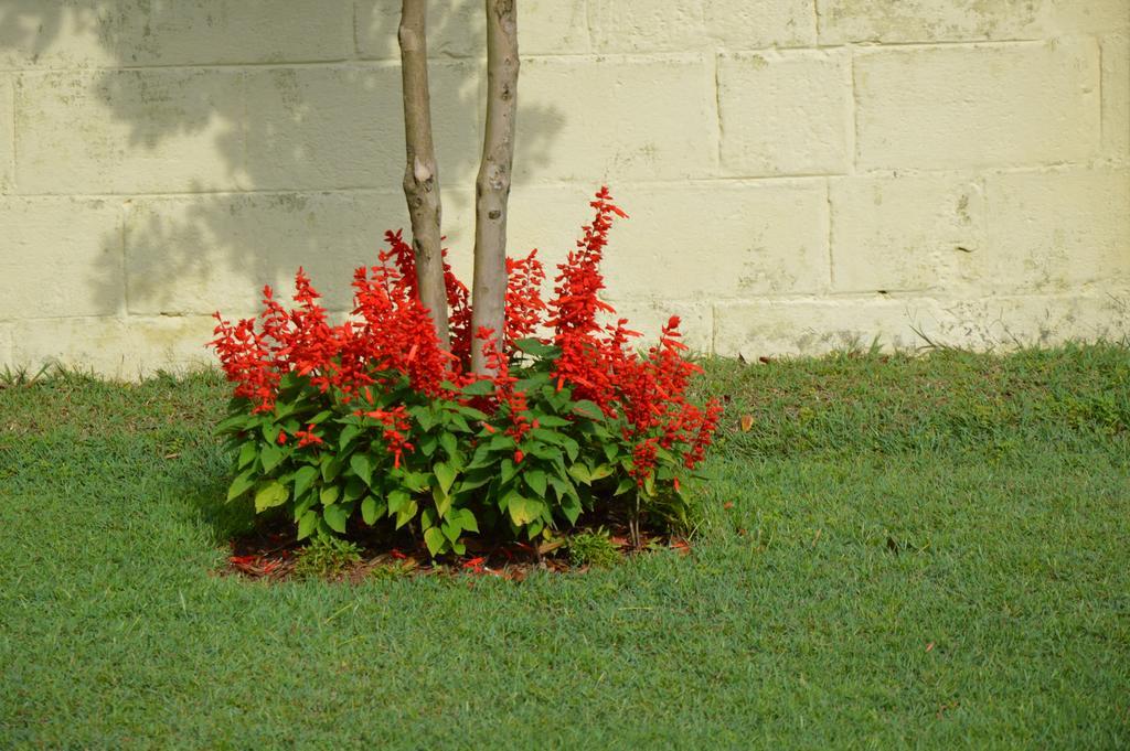 Serenity Manor Coonoor Dış mekan fotoğraf